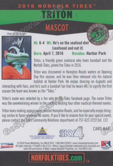 2016 Norfolk Tides Triton Mascot Back of Card