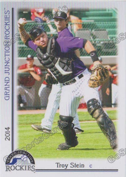 2014 Grand Junction Troy Stein