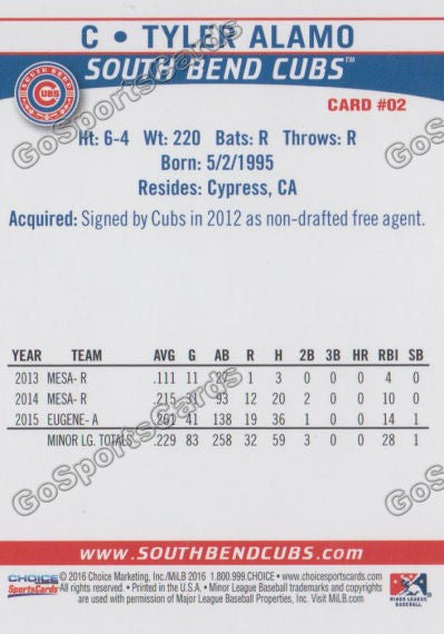 2016 South Bend Cubs Tyler Alamo Back of Card