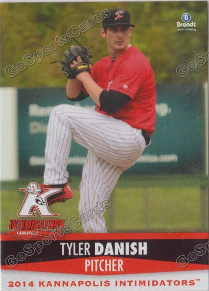 2014 Kannapolis Intimidators Tyler Danish