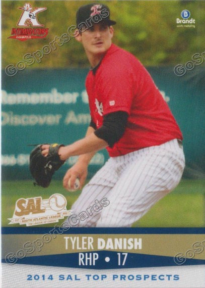 2014 South Atlantic League Top Prospect Tyler Danish