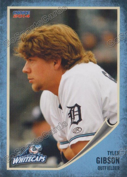 2014 West Michigan Whitecaps Tyler Gibson