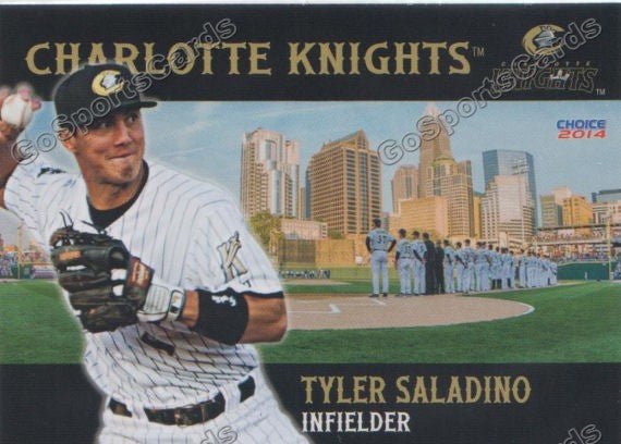 2014 Charlotte Knights Tyler Saladino