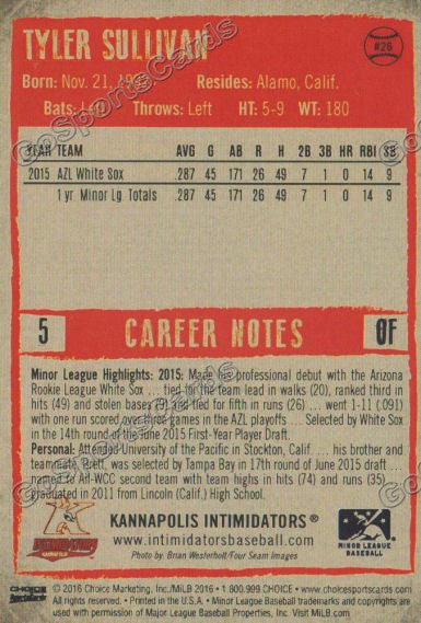  2016 Kannapolis Intimidators Tyler Sullivan Back of Card