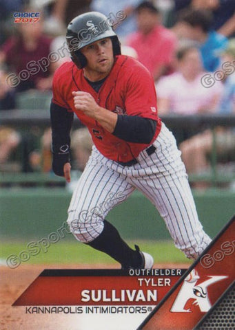 2017 Kannapolis Intimidators Tyler Sullivan