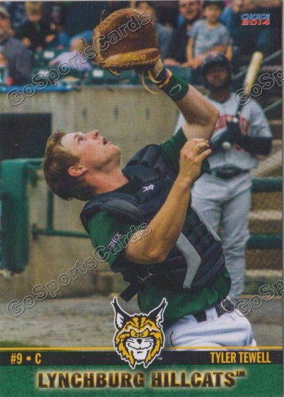 2014 Lynchburg HillCats Tyler Tewell