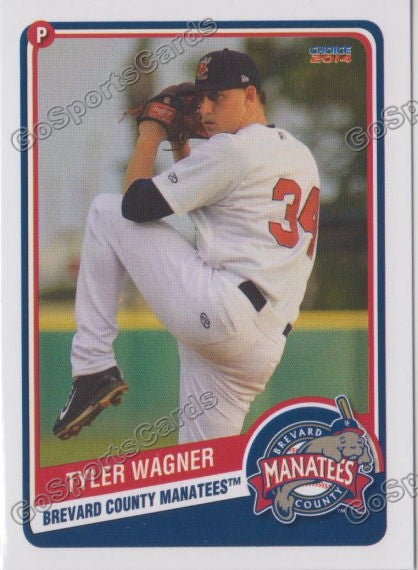 2014 Brevard County Manatees Tyler Wagner