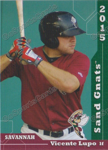 2015 Savannah Sand Gnats Vicente Lupo