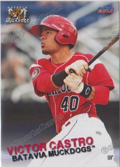 2014 Batavia Muckdogs Victor Castro
