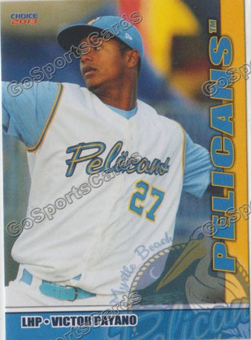 2013 Myrtle Beach Pelicans Victor Payano