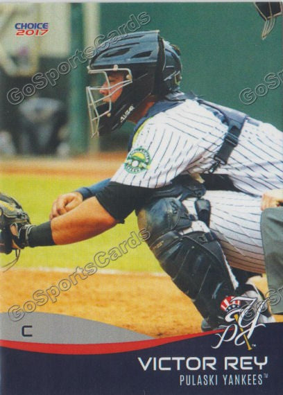 2017 Pulaski Yankees Victor Rey
