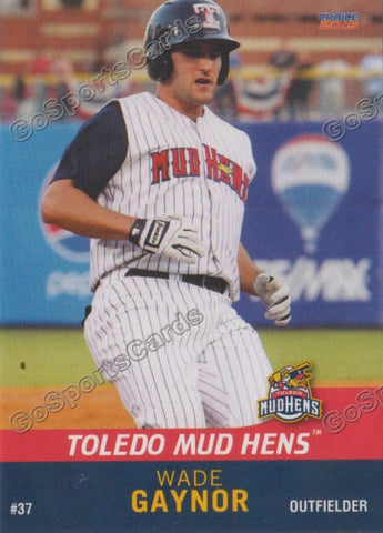 2015 Toledo Mud Hens Wade Gaynor