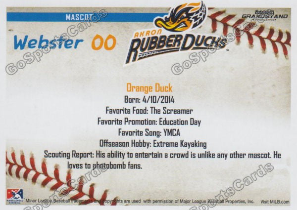 2016 Akron Aeros Webster Mascot Back of Card