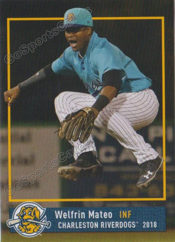 2018 Charleston RiverDogs Welfrin Mateo