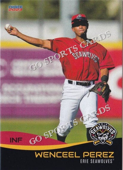 2023 Erie SeaWolves Wenceel Perez