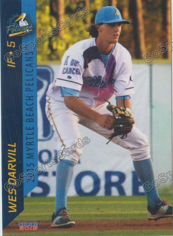2015 Myrtle Beach Pelicans Wes Darvill