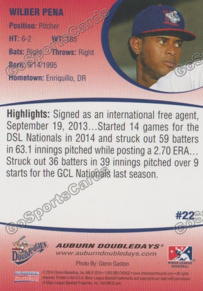 2016 Auburn Doubledays Wilber Pena Back of Card