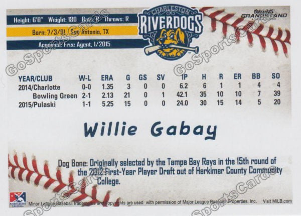 2016 Charleston RiverDogs Willie Gabay Back of Card