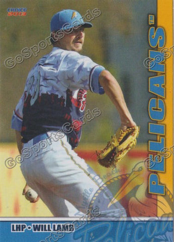 2013 Myrtle Beach Pelicans Will Lamb