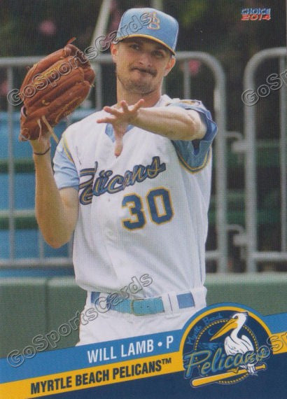2014 Myrtle Beach Pelicans Will Lamb