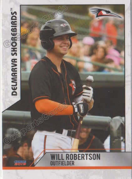 2019 Delmarva Shorebirds Will Robertson