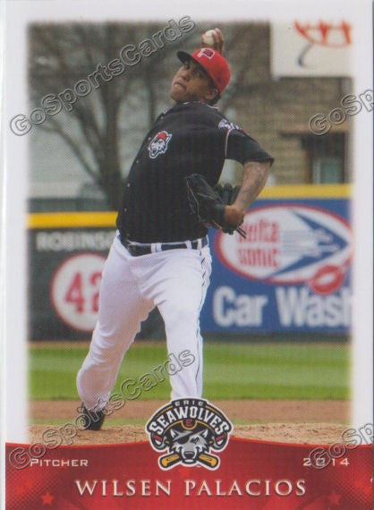 2014 Erie Seawolves Wilsen Palacios