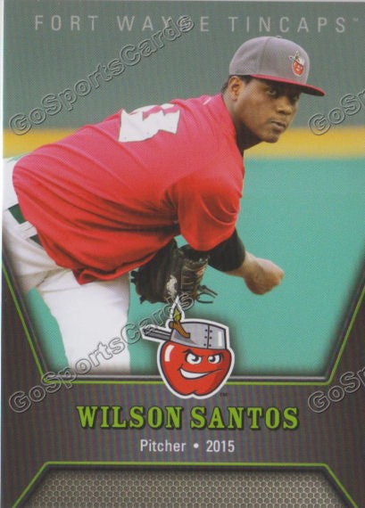 2015 Fort Wayne Tincaps Wilson Santos