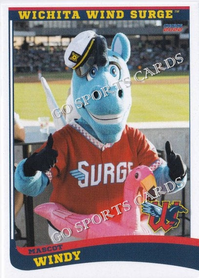 2022 Wichita Wind Surge Windy Mascot