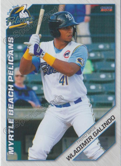 2019 Myrtle Beach Pelicans Wladimir Galindo