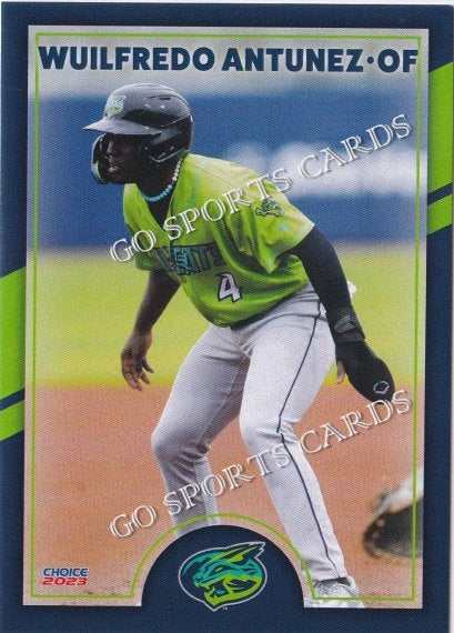 2023 Lynchburg Hillcats Wuilfredo Antunez