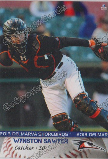 2013 Delmarva Shorebirds Wynston Sawyer