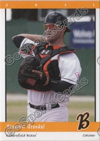 2011 Bakersfield Blaze Team Set