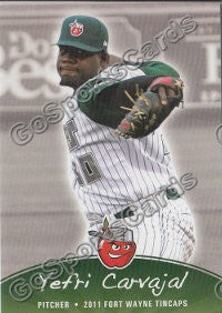 2011 Fort Wayne TinCaps Yefri Carvajal