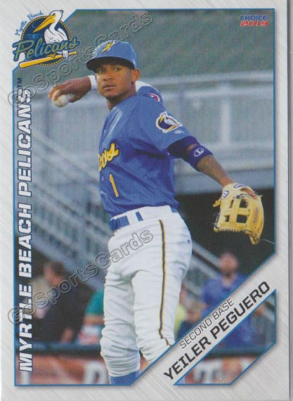 2019 Myrtle Beach Pelicans Yeiler Peguero