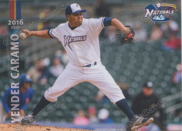 2016 Northwest Arkansas Naturals Yender Caramo