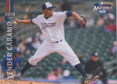 2016 Northwest Arkansas Naturals Yender Caramo