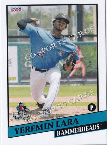 2023 Jupiter Hammerheads Yeremin Lara