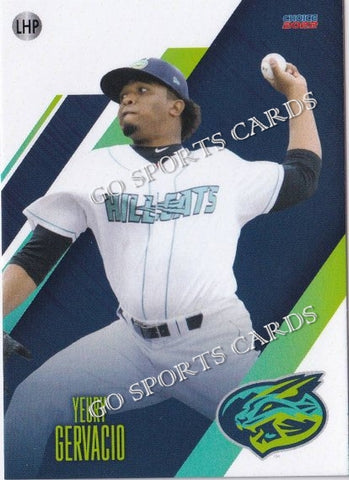 2022 Lynchburg Hillcats Yeury Gervacio