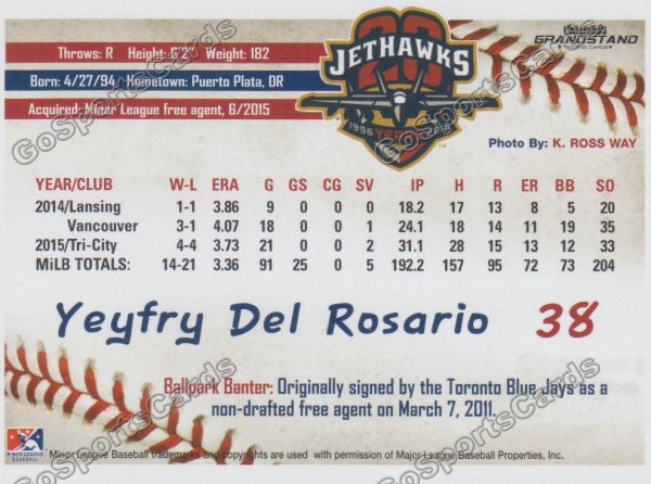 2016 Lancaster JetHawks Yeyfry Del Rosario Back of Card