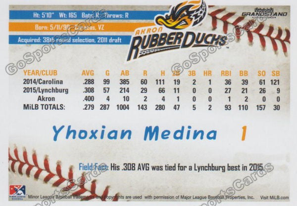 2016 Akron Aeros Yhoxian Medina Back of Card