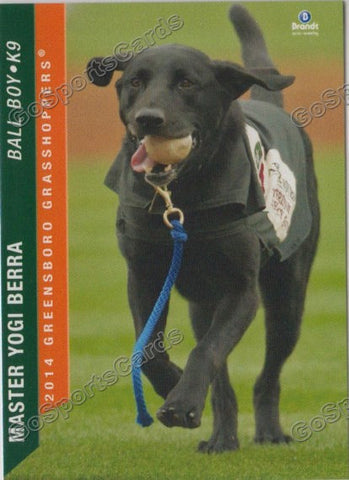 2014 Greensboro Grasshoppers Master Yogi Berra