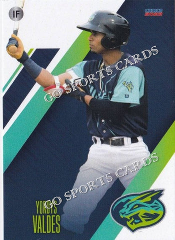 2022 Lynchburg Hillcats Yordys Valdes