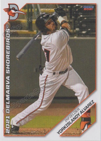 2021 Delmarva Shorebirds Yorkislandy Alvarez