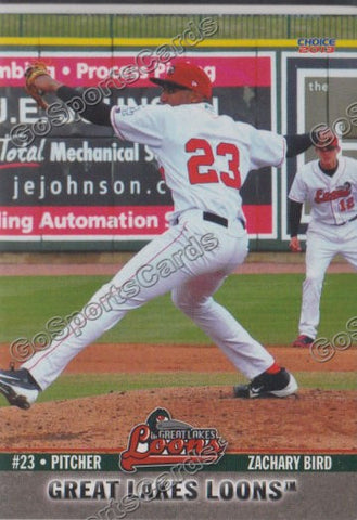 2013 Great Lakes Loons Zack Zachary Bird