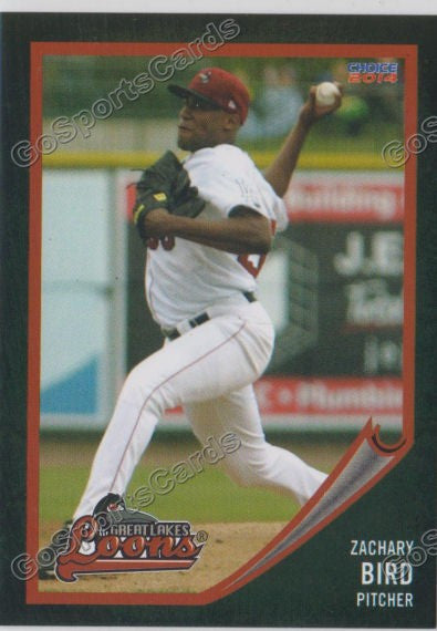 2014 Great Lakes Loons Zack Zachary Bird