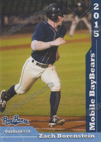 2015 Mobile BayBears Zach Borenstein