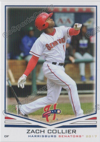 2017 Harrisburg Senators Zach Collier