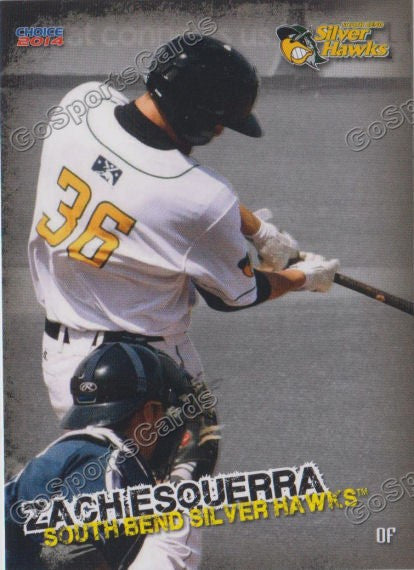 2014 South Bends Silver Hawks Zach Esquerra