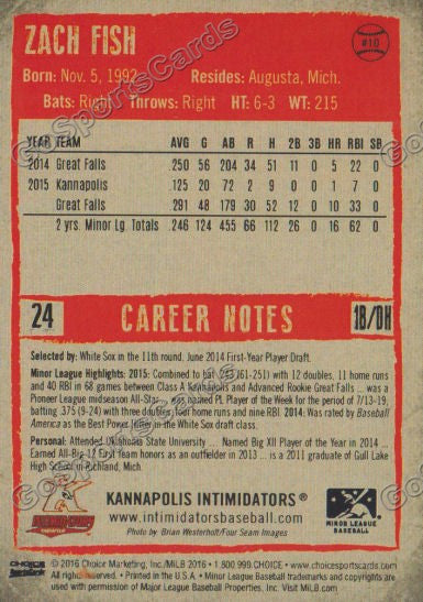  2016 Kannapolis Intimidators Zach Fish Back of Card