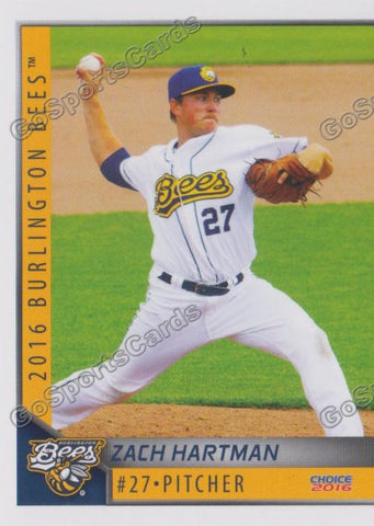 2016 Burlington Bees Zach Hartman